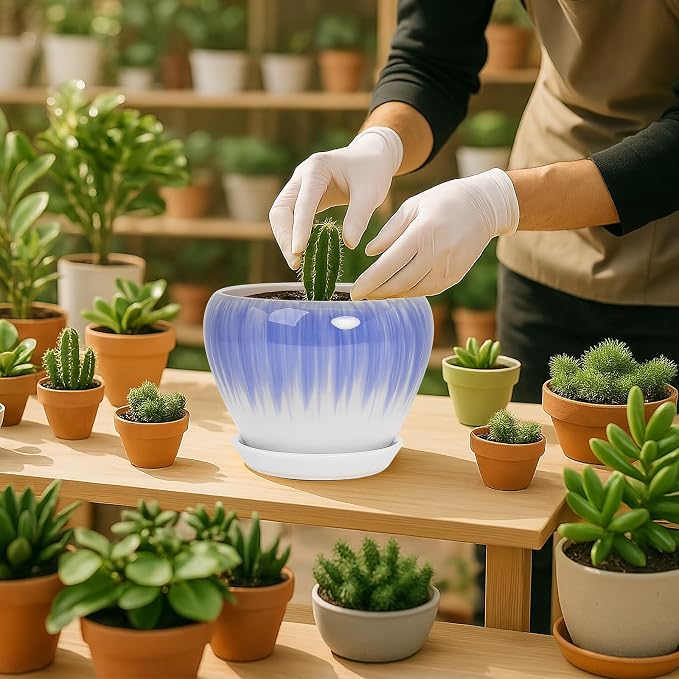 Deep Dream 6 Inch Plant Pots- Ceramic Planter Pot - Image 6