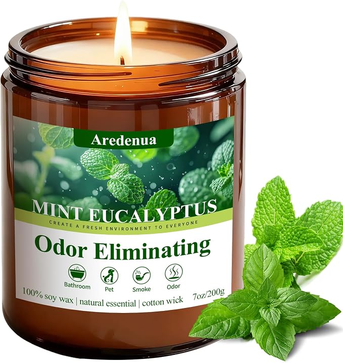 Mint Eucalyptus Odor Eliminating Candles, 7 oz Soy Scented Candle | Eliminates by Aredenua-StartJourneyThroughScent