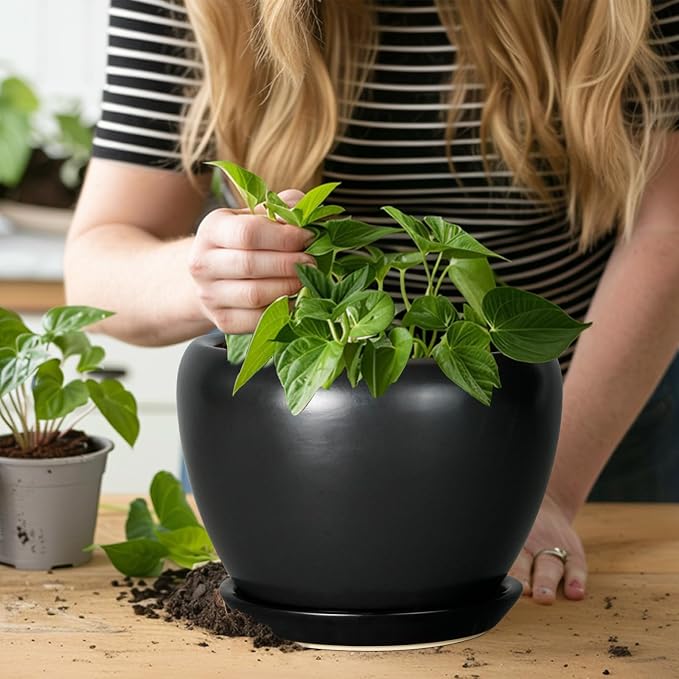 Ceramicfor Ceramic Planter Pot - Image 4