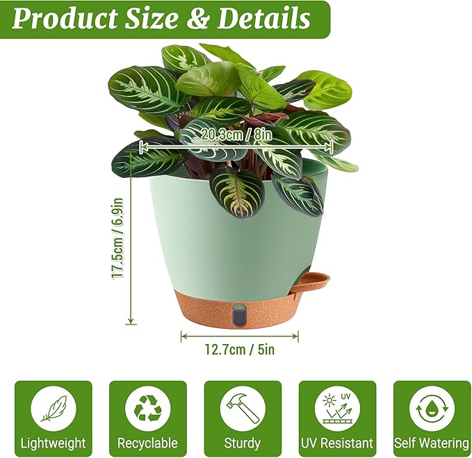 2 Pack 8 Inch Pots for Plants Indoor, Plastic Self Watering Planters | Drainage - Image 3