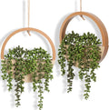 2 Pack Fake Plants Artificial Wall Hanging Succulents Plant | Boho Hanging by Hobyhoon