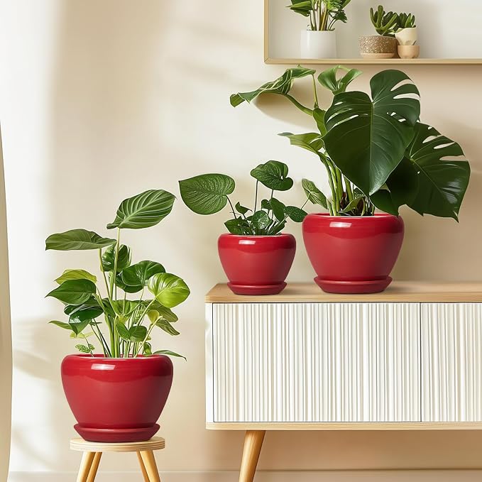 Ceramicfor 10 Inch Plant Pot, Ceramic Planter - Image 8