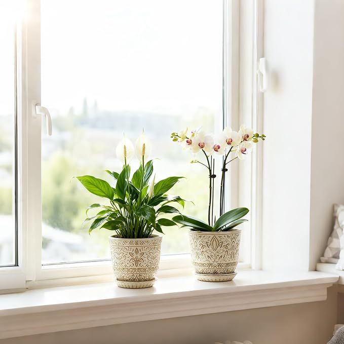 Gepege Ceramic Plant Pots, 6 Inch Indoor Planters - Image 5