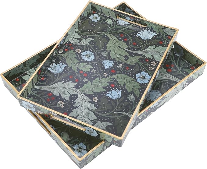 2 Pcs Serving Trays with Handle Plastic Tray by Acellegic
