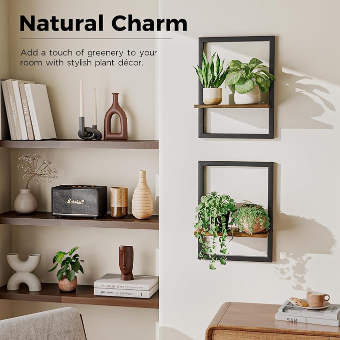 Bamworld Wall Plant Holder Hanging Planters - Image 3