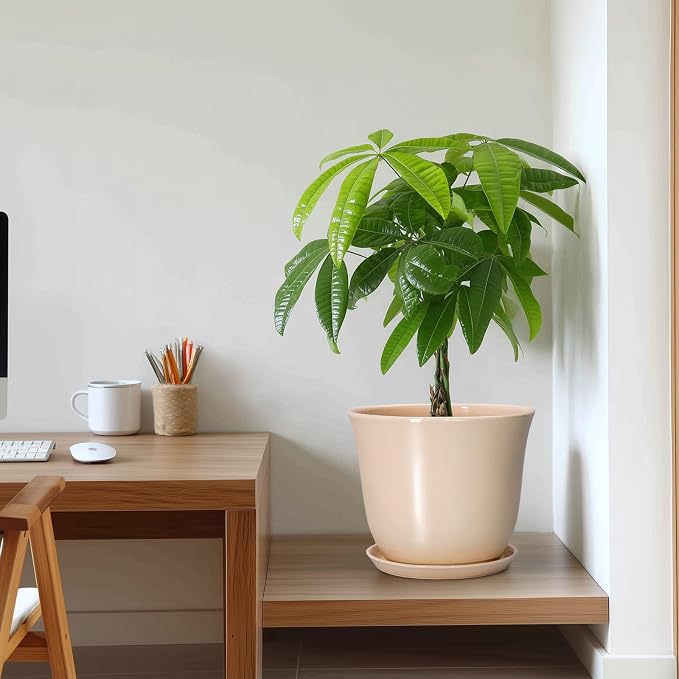 Ceramic Planter, 10 Inch Plant Pot - Image 7