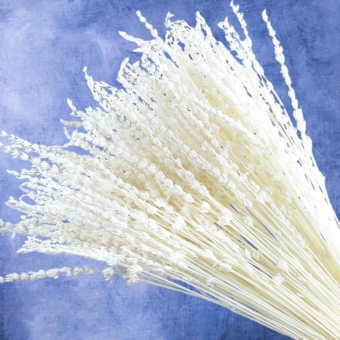 Glicrili Dried Lavender Flowers Real Stems White Bouquet - Image 7