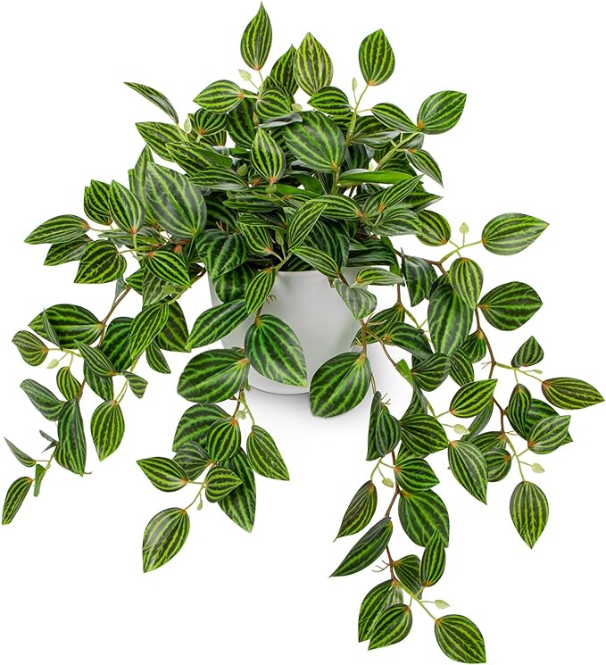 Briful Artificial Potted Plant Indoor, 17.7" Faux Watermelon Peperomia Trailing by Briful