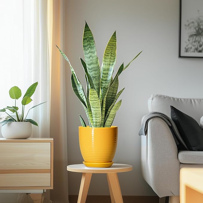 Ceramic Pots for Plants - Image 6