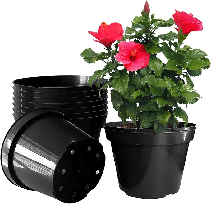 RooTrimmer 10 Inch Plastic Nursery Pots by RooTrimmer