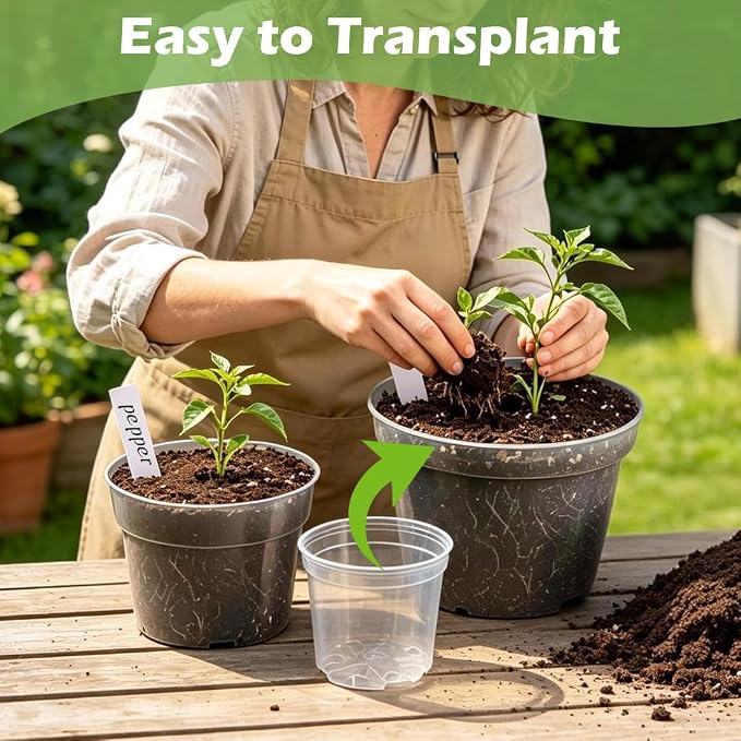 RooTrimmer 15 Pack 8/6/4 Inch Clear Nursery Pots - Image 5