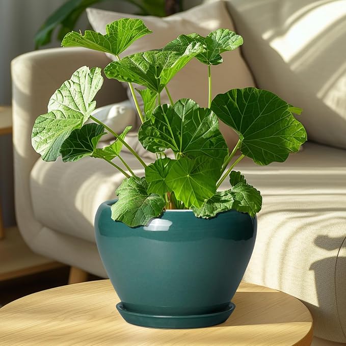 Ceramicfor 8 Inch Plant Pot - Image 7