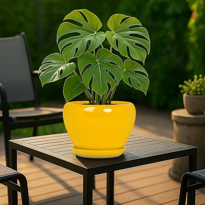 Deep Dream 8 Inch Plant Pots- Ceramic Pots - Image 3
