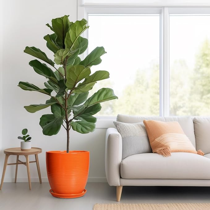 12 Inch Plant Pot, Ceramic Planters - Image 6