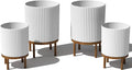 Veradek Demi Series Raised Duo Planters by VeradekOutdoor