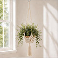 Shappy 1 Pack Boho Macrame Plant Hanger by Shappy