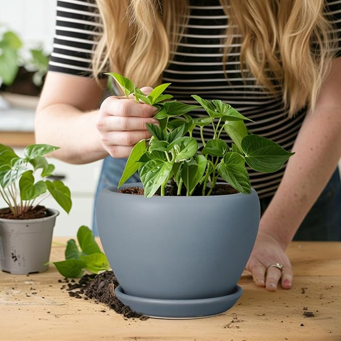 Ceramicfor Ceramic Pot for Plants - Image 5