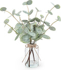 Bessol Artificial Eucalyptus Stems in Glass Vase by Bessol