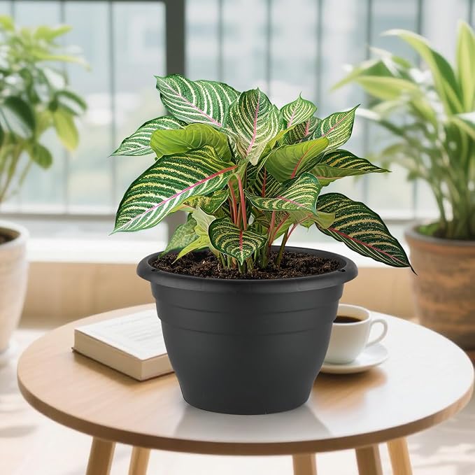 RooTrimmer 3 Pack 11 Inch Plant Pots - Image 8