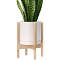 D'vine Dev Ceramic Pot with Natural Wood Stand, 10 in, 55-B-K-8 | Mid-Century by DvineDevPlanterPotsandStand