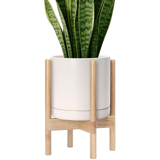 D'vine Dev Ceramic Pot with Natural Wood Stand, 10 in, 55-B-K-8 | Mid-Century by DvineDevPlanterPotsandStand
