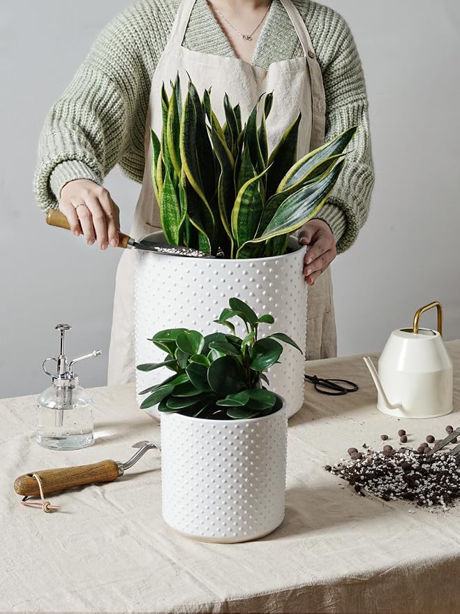 LE TAUCI 10+8+6 Inch Ceramic Pots - Image 6