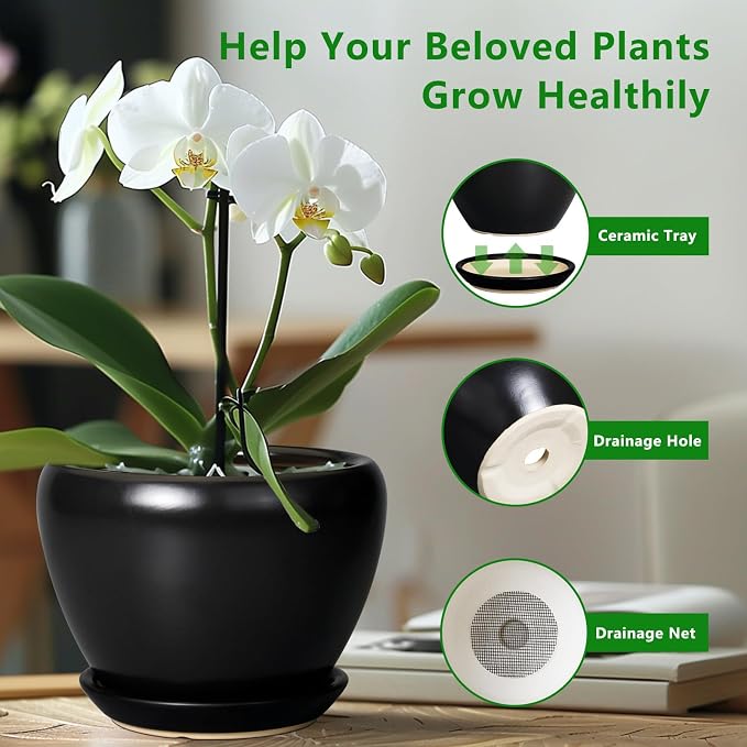 Ceramicfor Ceramic Planter Pot - Image 6