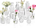Clear Glass Bud Vase Set of 14 Pcs, Small Bud Vases in Bulk, Glass Crystal by JXINDUJU