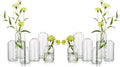 Glass Bud Vases for Flowers by Hewory