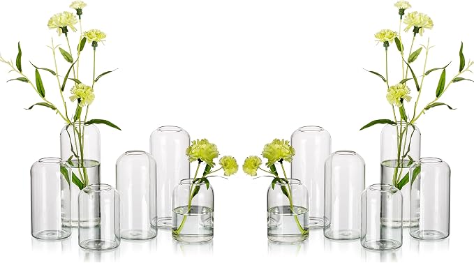 Glass Bud Vases for Flowers by Hewory