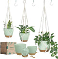 Bouqlife Self Watering Hanging Planters by Bouqlife