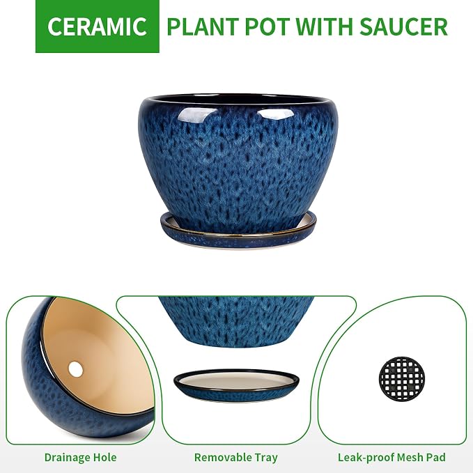 Deep Dream 6 Inch Plant Pots- Ceramic Planter Pot - Image 6