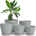 Plant Pots Indoor with Drainage, 5 Pack Multi-Size Planters Set by UTOPIAHOME