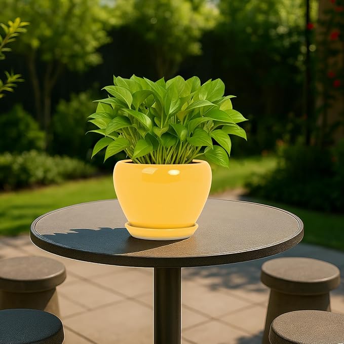 Deep Dream 6 Inch Plant Pots- Ceramic Planter Pot - Image 3