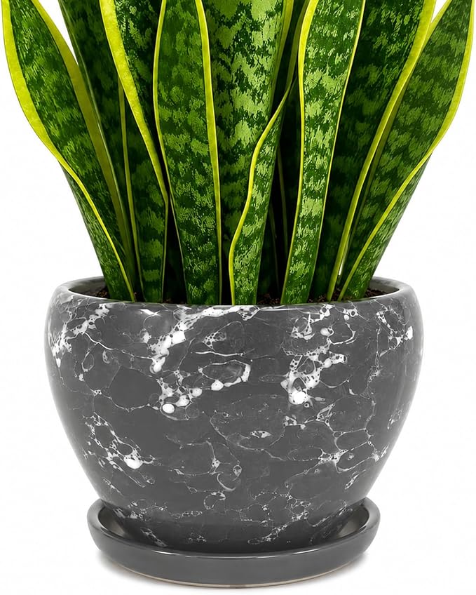 Deep Dream 8 Inch Plant Pots- Ceramic Pots by DeepDream