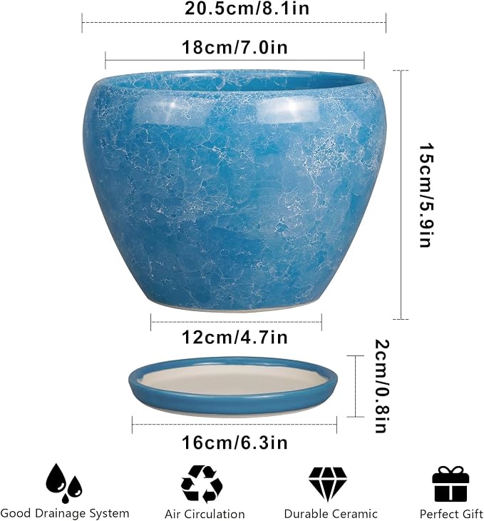 Ceramicfor Ceramic Planter - Image 3