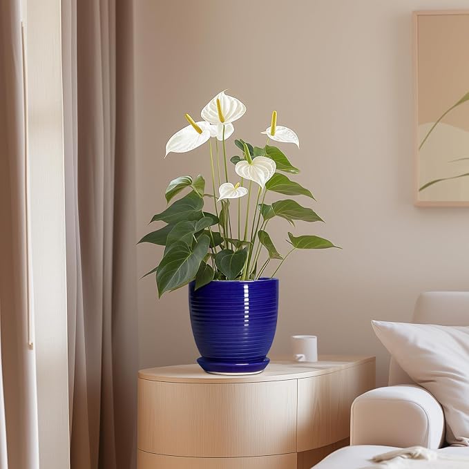 Ceramic Plant Pot - Image 7