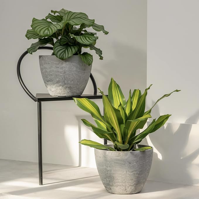 LA JOLIE MUSE Planter Pots, Flower Pots - Image 2