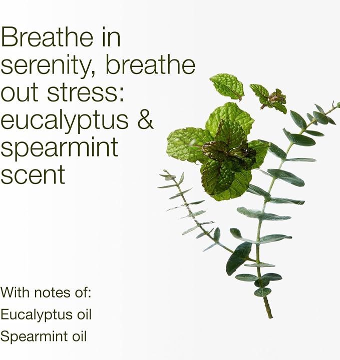Bath & Body Works Eucalyptus Spearmint 3-Wick Candle - Image 3
