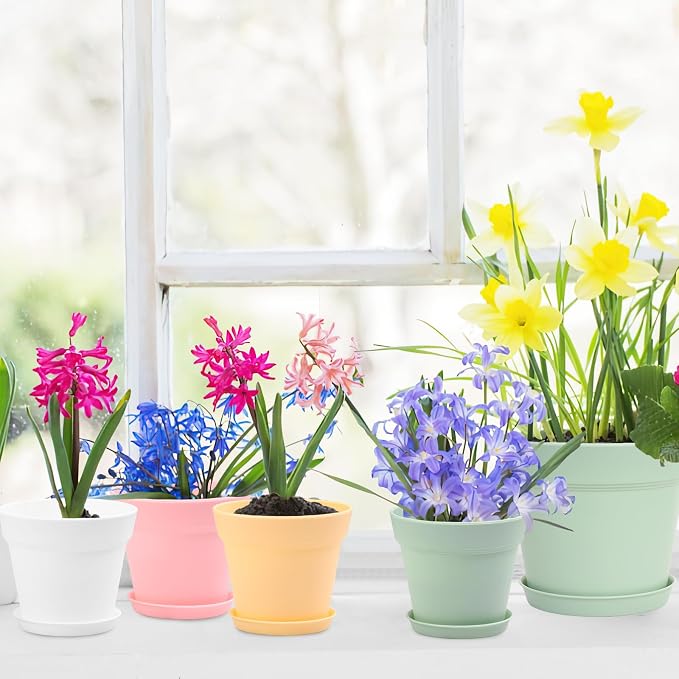 20 Pack 4 inch Plant pots, planters - Image 4