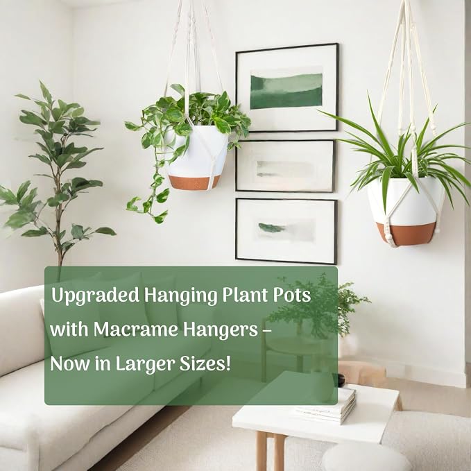 3 Pack Self Watering Hanging Planters - Image 8