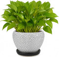 Deep Dream 6 Inch Plant Pots- Ceramic Planter Pot by DeepDream