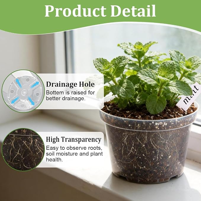 RooTrimmer 15 Pack 8/6/4 Inch Clear Nursery Pots - Image 3