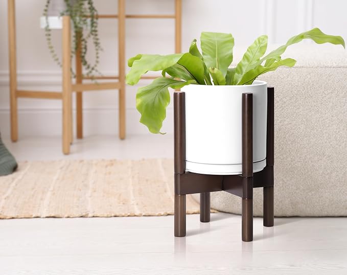 D'vine Dev Ceramic Pot with Walnut Wood Stand, 8 in, 55-B-Y-1 | Mid-Century - Image 6