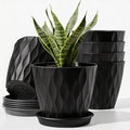 6 Pack Plant Pots with Drainage Holes, 4 Inch Plastic Indoor Flower Pots by Unknown