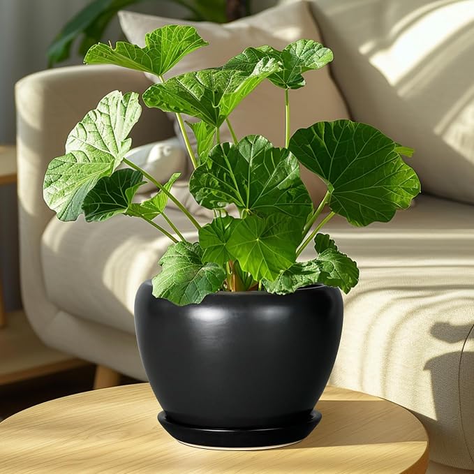 Ceramicfor Ceramic Planter Pot - Image 7