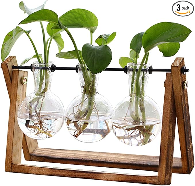 XXXFLOWER Plant Terrarium with Wooden Stand, Air Planter Bulb Glass Vase Metal by XXXFLOWER