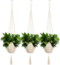 Shappy 3 Pack Boho Macrame Plant Hanger by Shappy