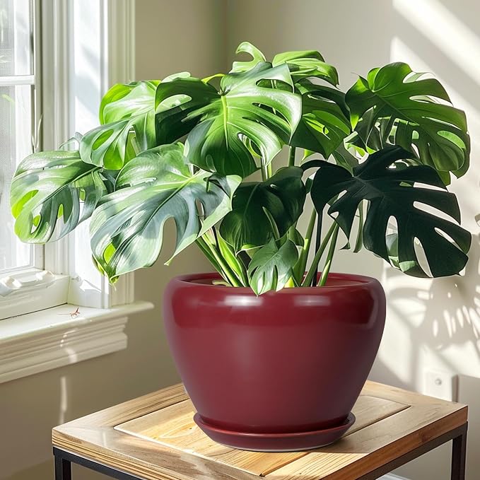 Ceramicfor 10 Inch Plant Pot, Ceramic Planter, Large Planter - Image 5