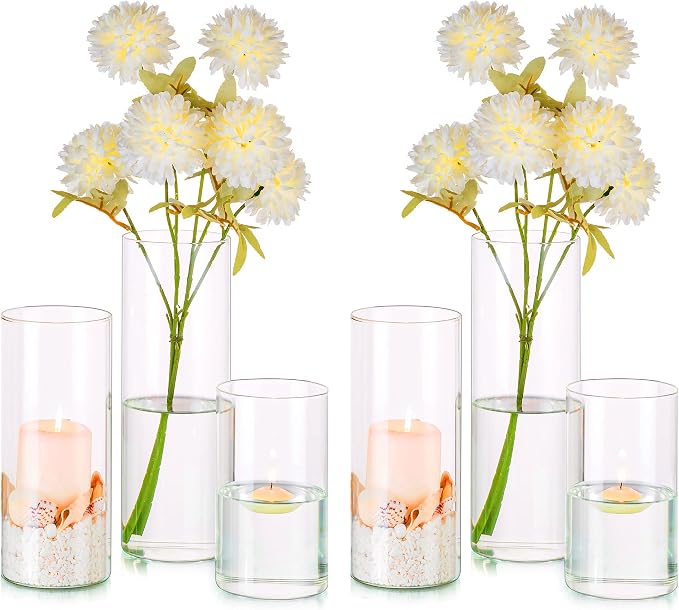 Glass Cylinder Vases Set of 6, Hewory Tall Clear Vase by Hewory